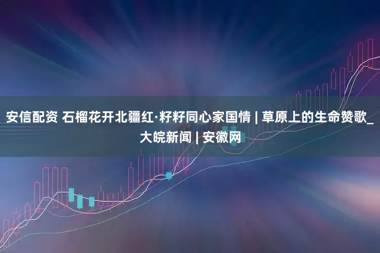 安信配资 石榴花开北疆红·籽籽同心家国情 | 草原上的生命赞歌_大皖新闻 | 安徽网